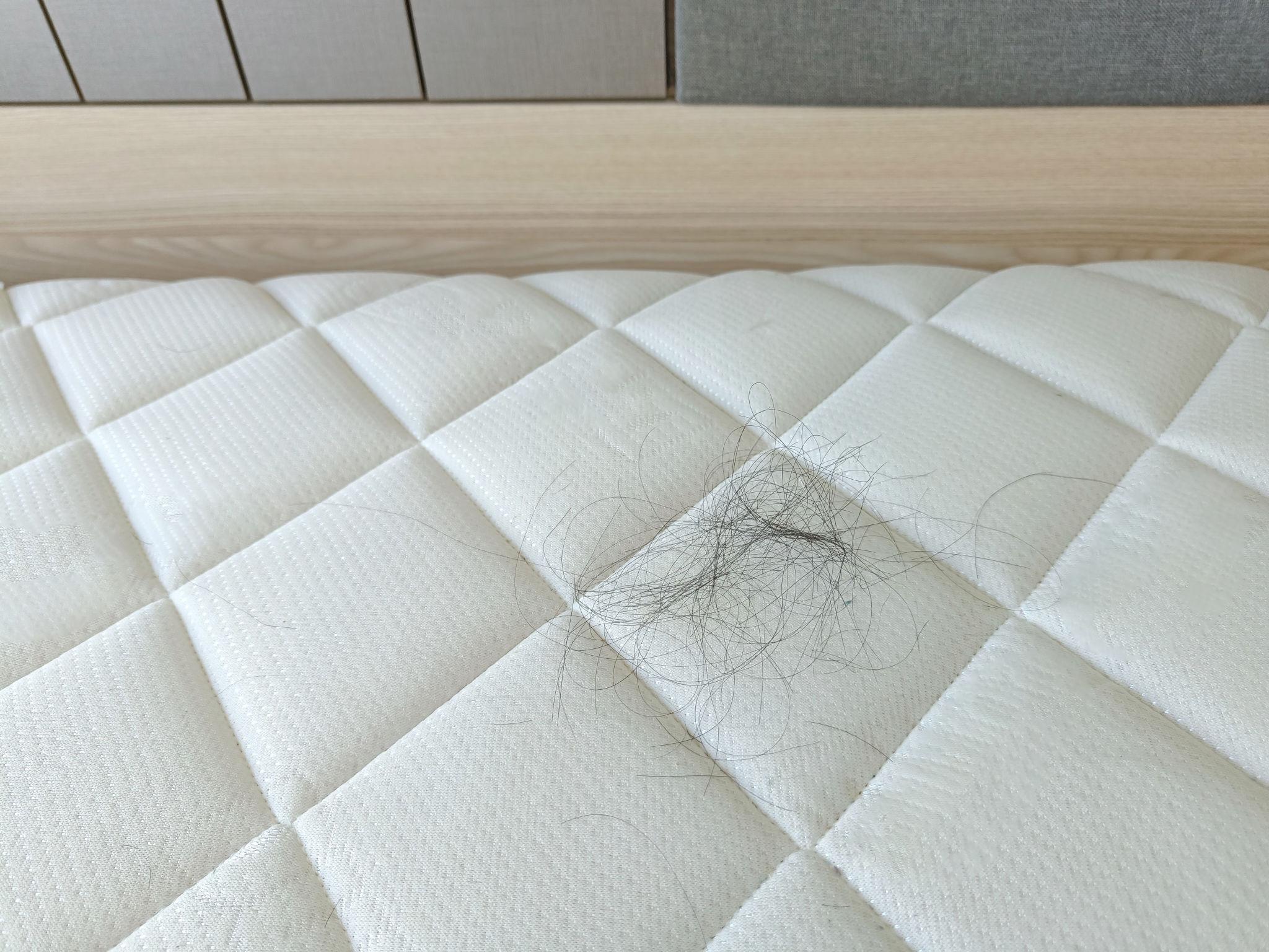 베개 위 머리카락